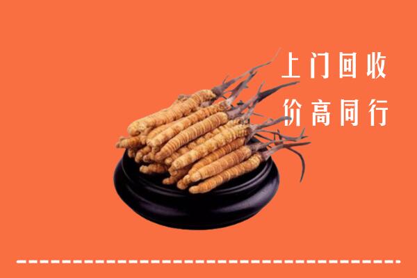 高价求购：安庆市潜山回收散虫草