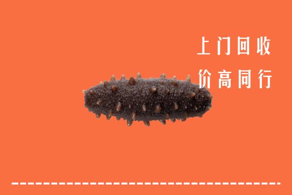 高价求购：安庆市潜山回收海参